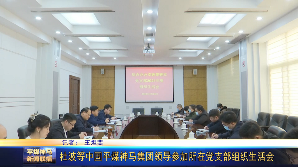 杜波等中國平煤神馬集團領(lǐng)導參加所在黨支部[00_00_41][20220302-175622].png